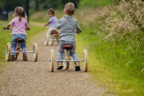 Pierwszy rowerek trójkołowy dziecięcy biegowy 2w1 niebieski balans Trybike